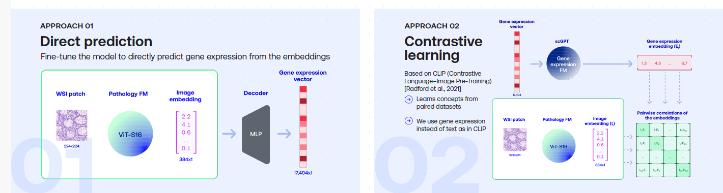 pathology RNA
