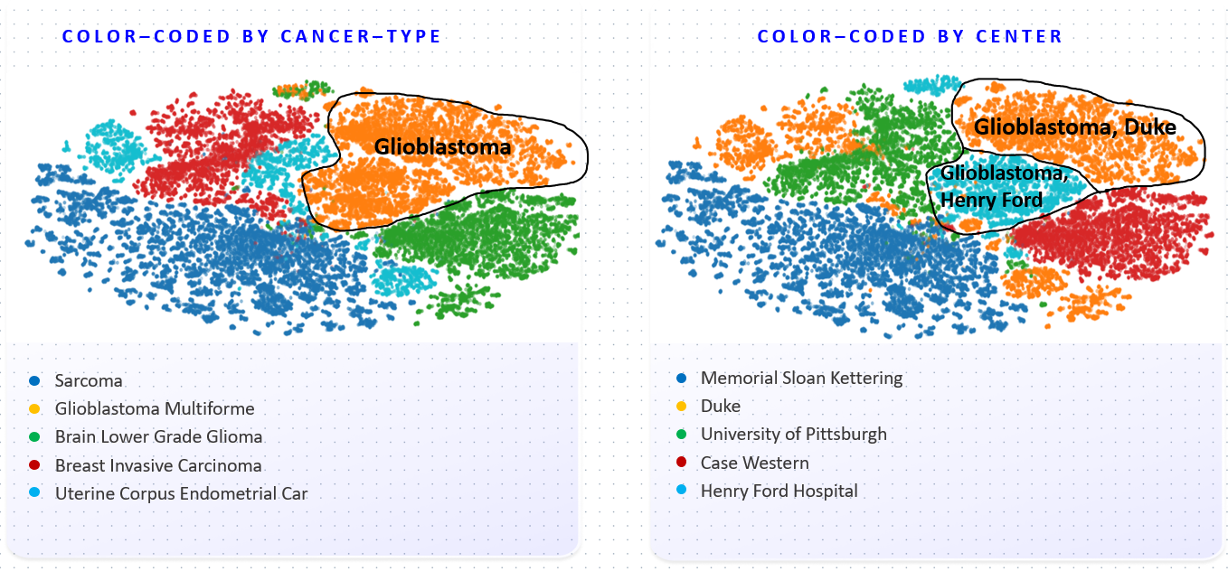 Color-coded visualization of embedding space clustering